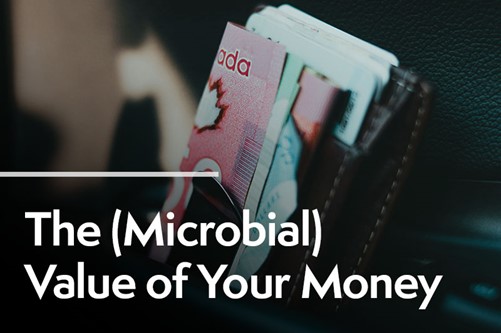 Showcase Image for SBP 32 - The (Microbial) Value of Your Money