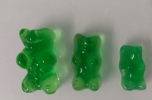 Showcase Image for Exploring Osmosis: Evaluating Alternative Experimental Protocols for the BIOL 2110K Lab Course