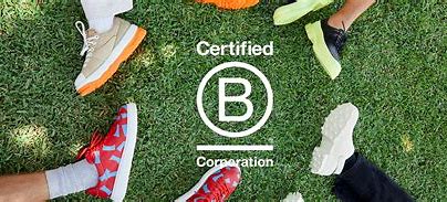 Showcase Image for Exploring Leverage Differences Between Certified B Corps and Common Commercial Firms: Empirical Evidence from the United States 