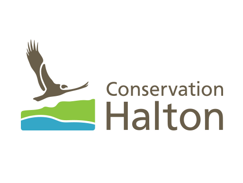 Showcase Image for Conservation Halton Sustainability Internship