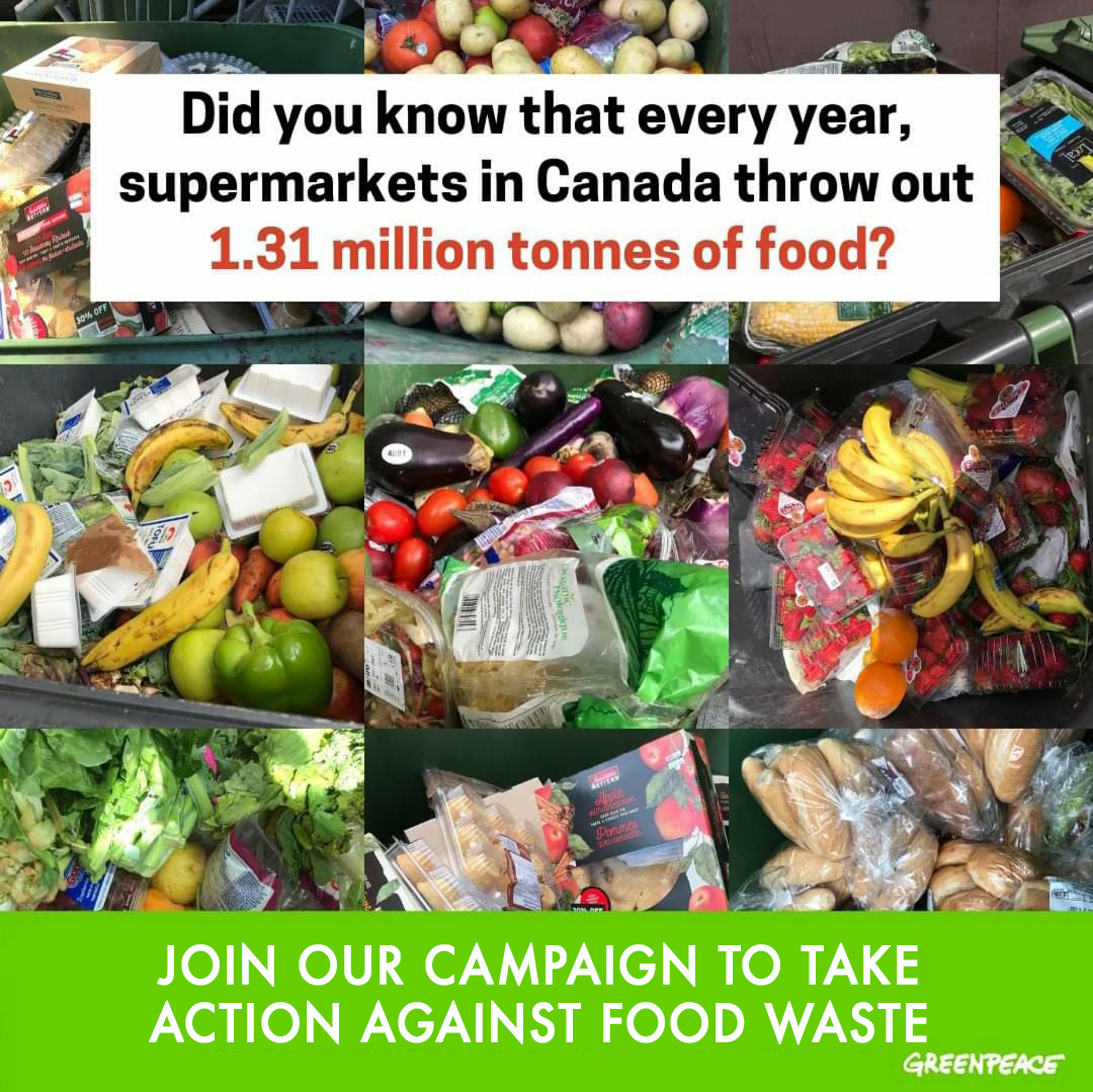 Showcase Image for Food Waste, Climate Crisis, and Food Insecurity