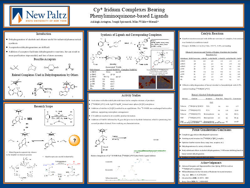 Showcase Image for Cp* Iridium Complexes With Phenyliminoquinone-based Ligands