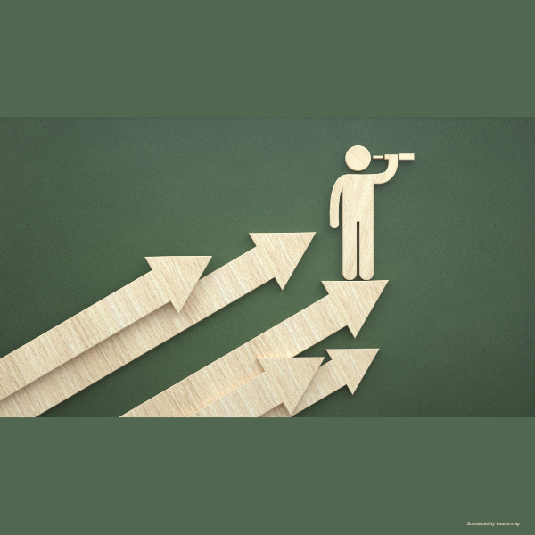 Showcase Image for How Organizational and Contextual Factors Influence the Effectiveness of Sustainability Executives in Canada