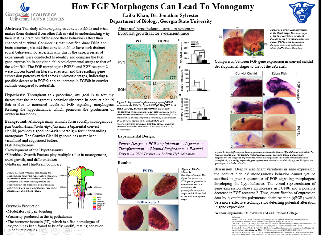 Showcase Image for How FGF Morphogens Can Lead to Monogamy