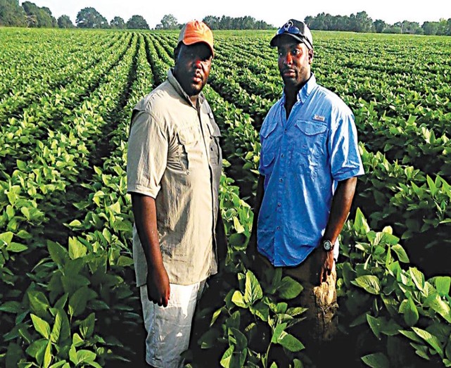 Showcase Image for Exploring Farmers Perspectives of the Missouri Farm to Table Program and Other Policies Designed to Assit Small Scale Minority Farmers: Who is Included? Who is Excluded?