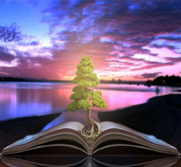 Showcase Image for The Use of Multimedia Aids by Elementary School Teachers in the Effective Communication of Environmental Education (Case Study: Ontario)