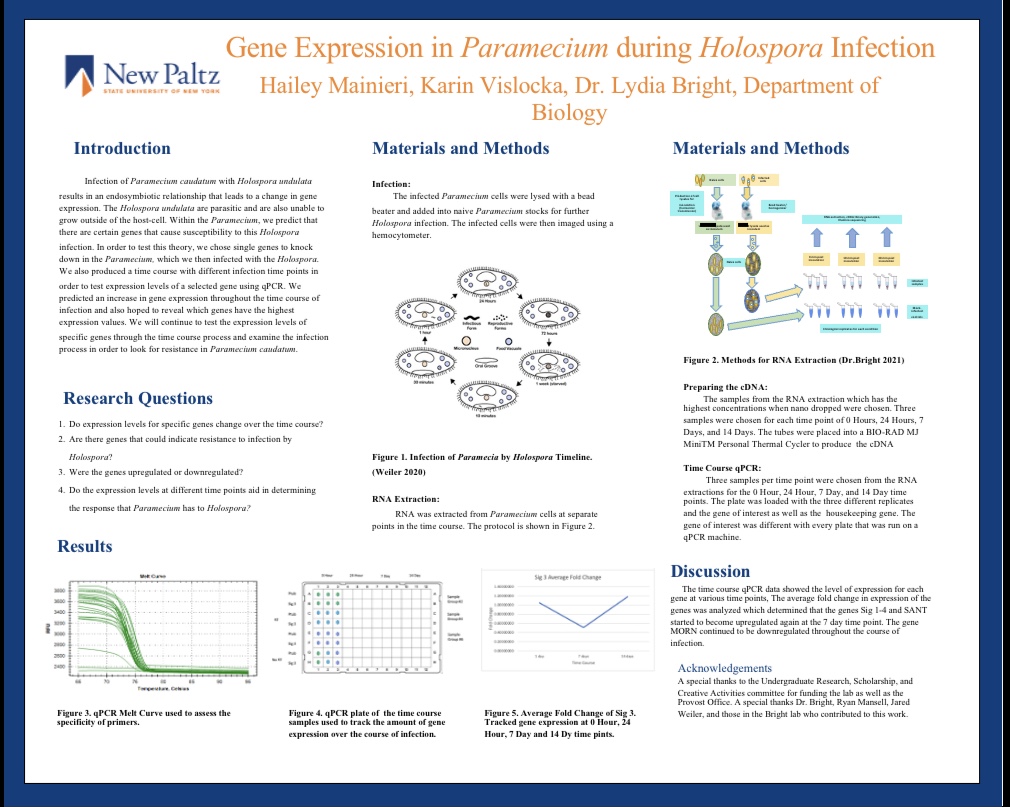 Showcase Image for Gene Expression in Paramecium During Holospora Infection