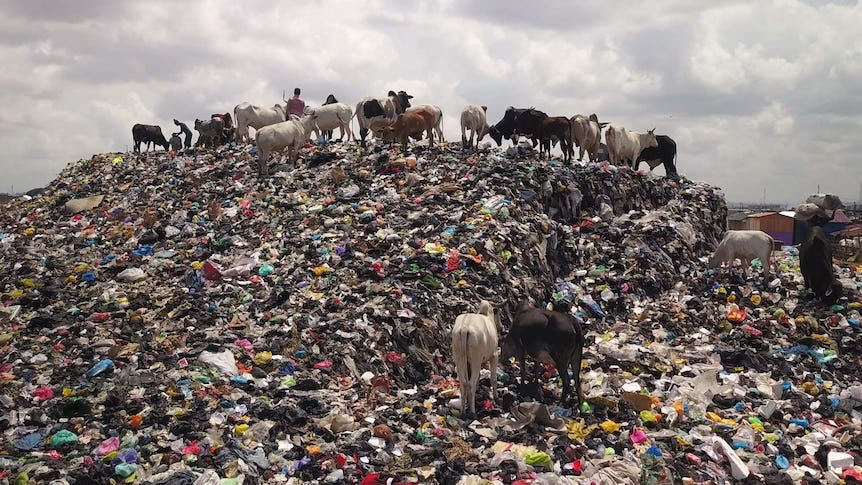 Showcase Image for The Impacts of Second-hand Clothes on the Global South