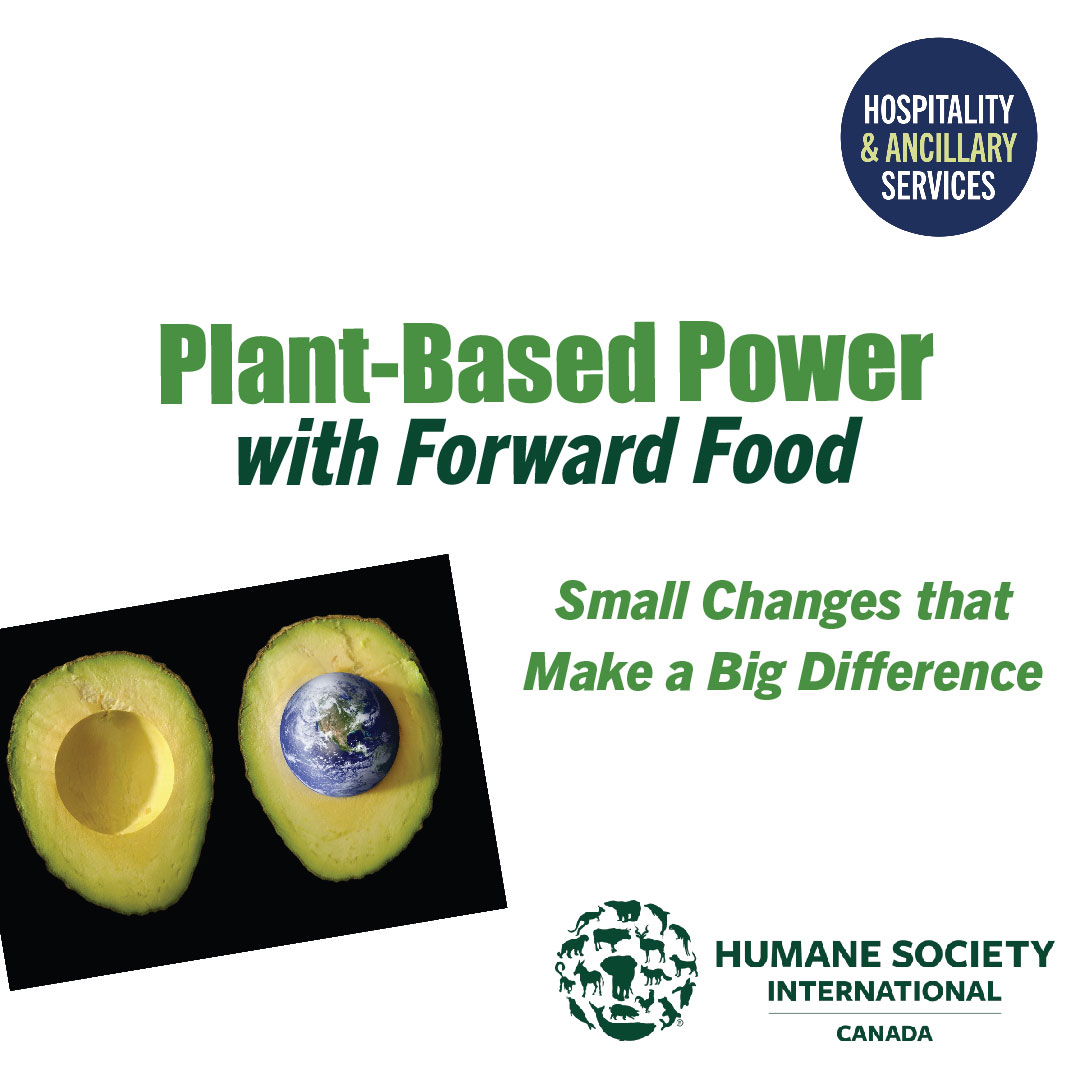 Showcase Image for Plant-Based Power with Forward Food: Small Changes that Make a Big Difference