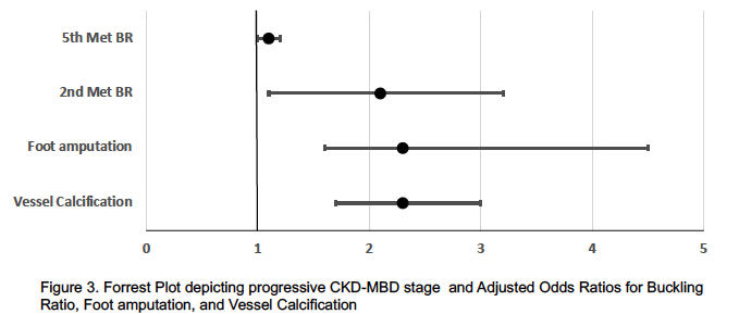Showcase Image for Foot radiography and serum markers to assess foot impairment risk across CKD-MBD stages 