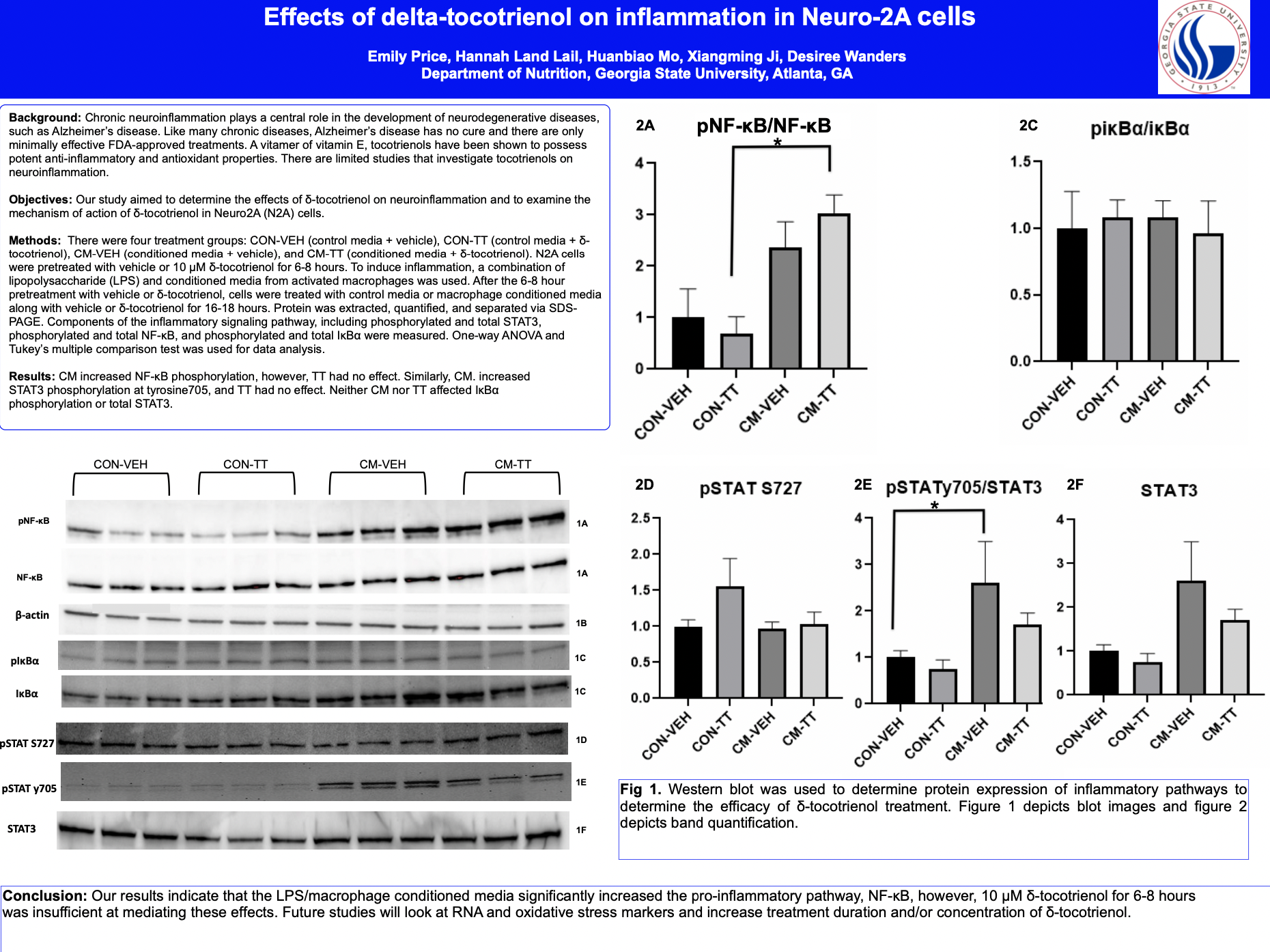 Showcase Image for Effects of delta-tocotrienol on inflammation in Neuro-2A cells