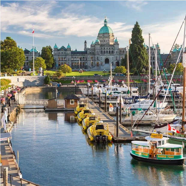 Showcase Image for The Role of Social Enterprises in Building Community Resilience in Victoria, BC