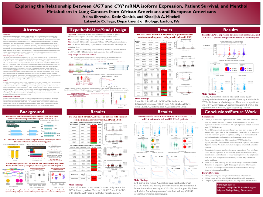 Showcase Image for Exploring the Relationship Between UGT and CYP mRNA isoform Expression, Patient Survival, and Menthol Metabolism in Lung Cancers from African Americans and European Americans