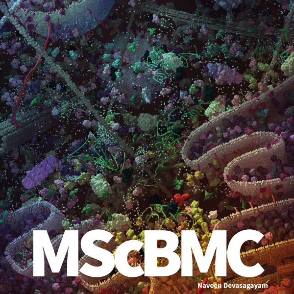 Showcase Image for Master of Science in Biomedical Communications