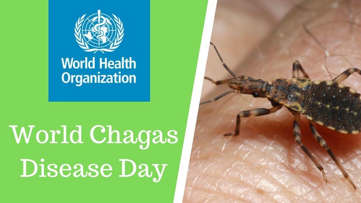 Showcase Image for Statistical Inference and Epidemiological Modeling Between Risk Factors and Seropositivity of Chagas Disease