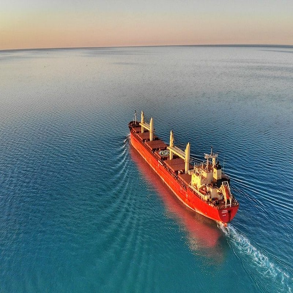 Showcase Image for Understanding Maritime Shipping Companies’ Engagement with Efforts to Decarbonize