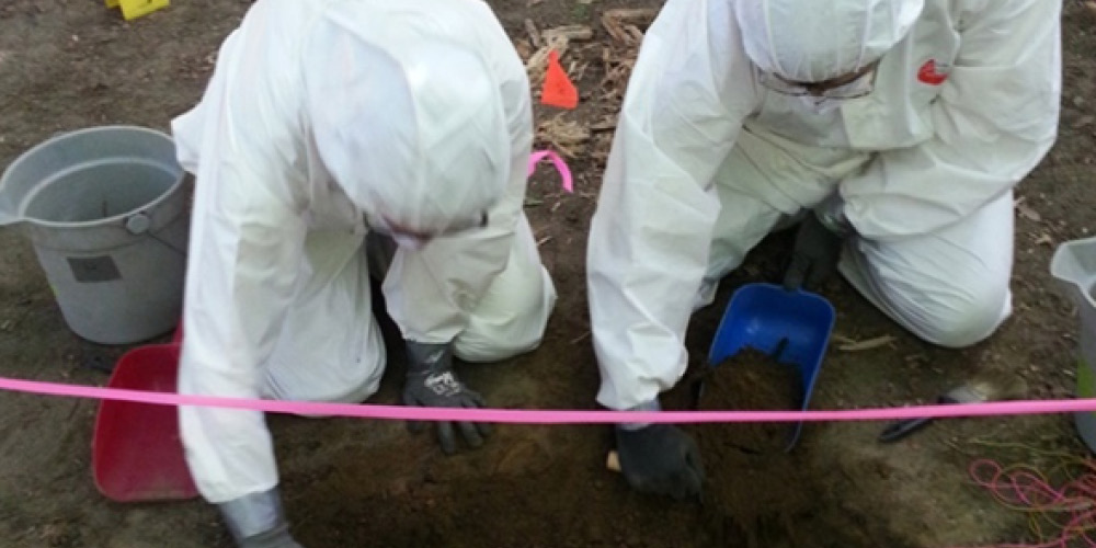 Showcase Image for Forensic Science 