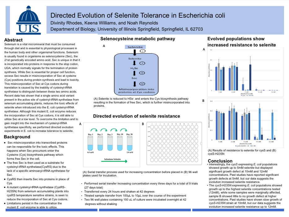 Showcase Image for Directed Evolution of Selenite Tolerance in Escherichia coli