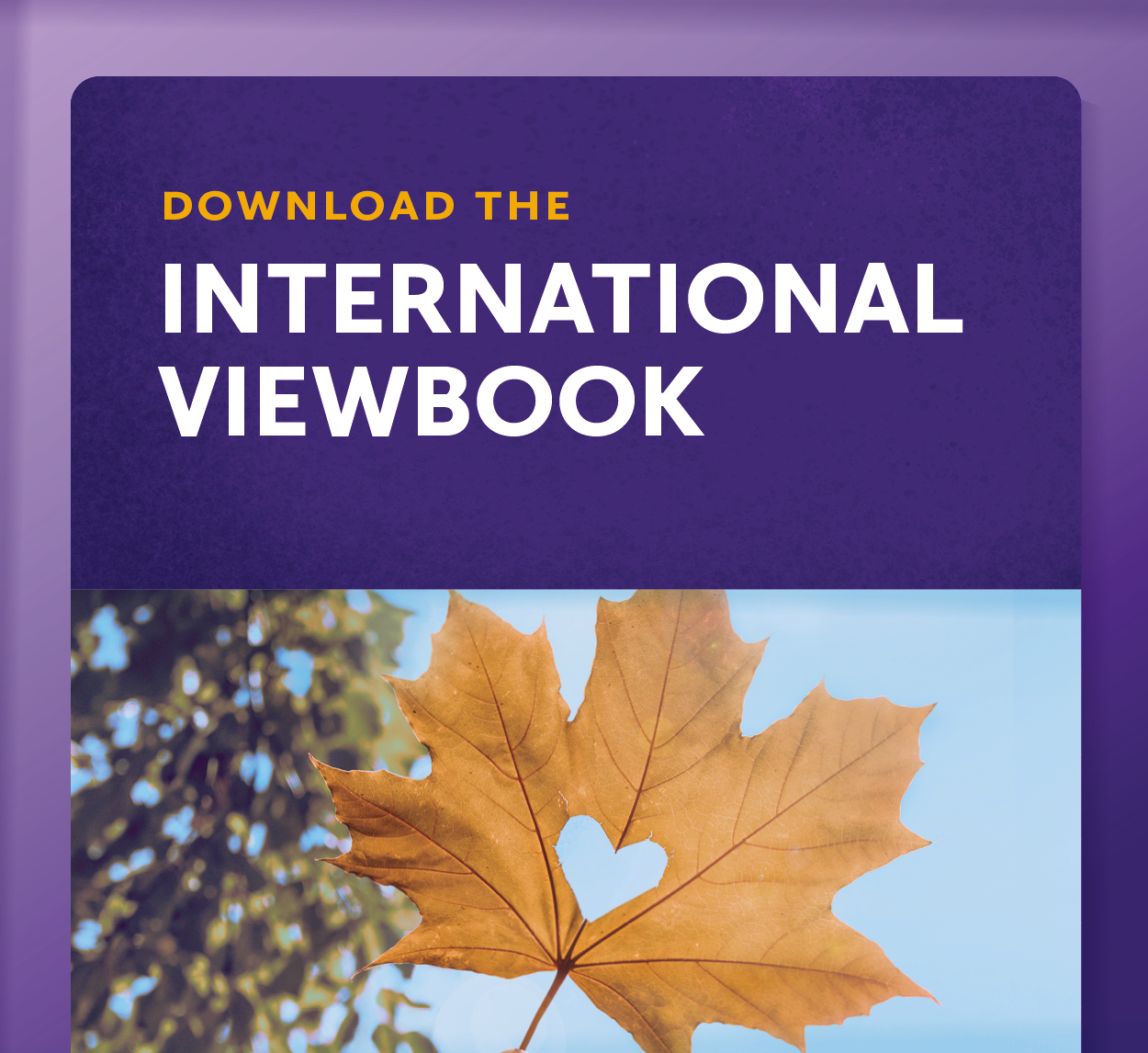 Showcase Image for Download the International Student Viewbook