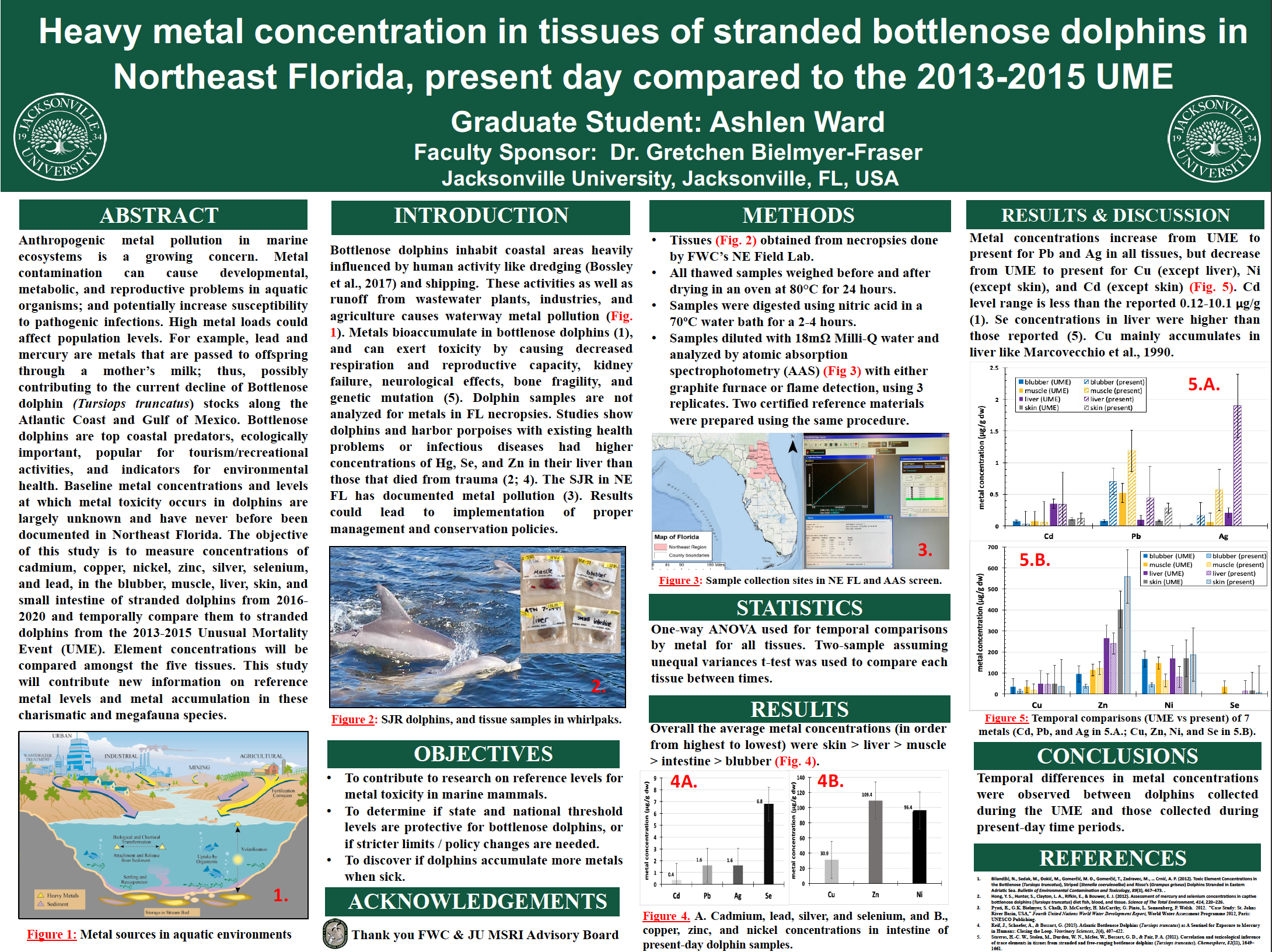 Showcase Image for Heavy metal concentration in tissues of stranded bottlenose dolphins in Northeast Florida, present day (2016-2021) compared to the 2013-2015 UME