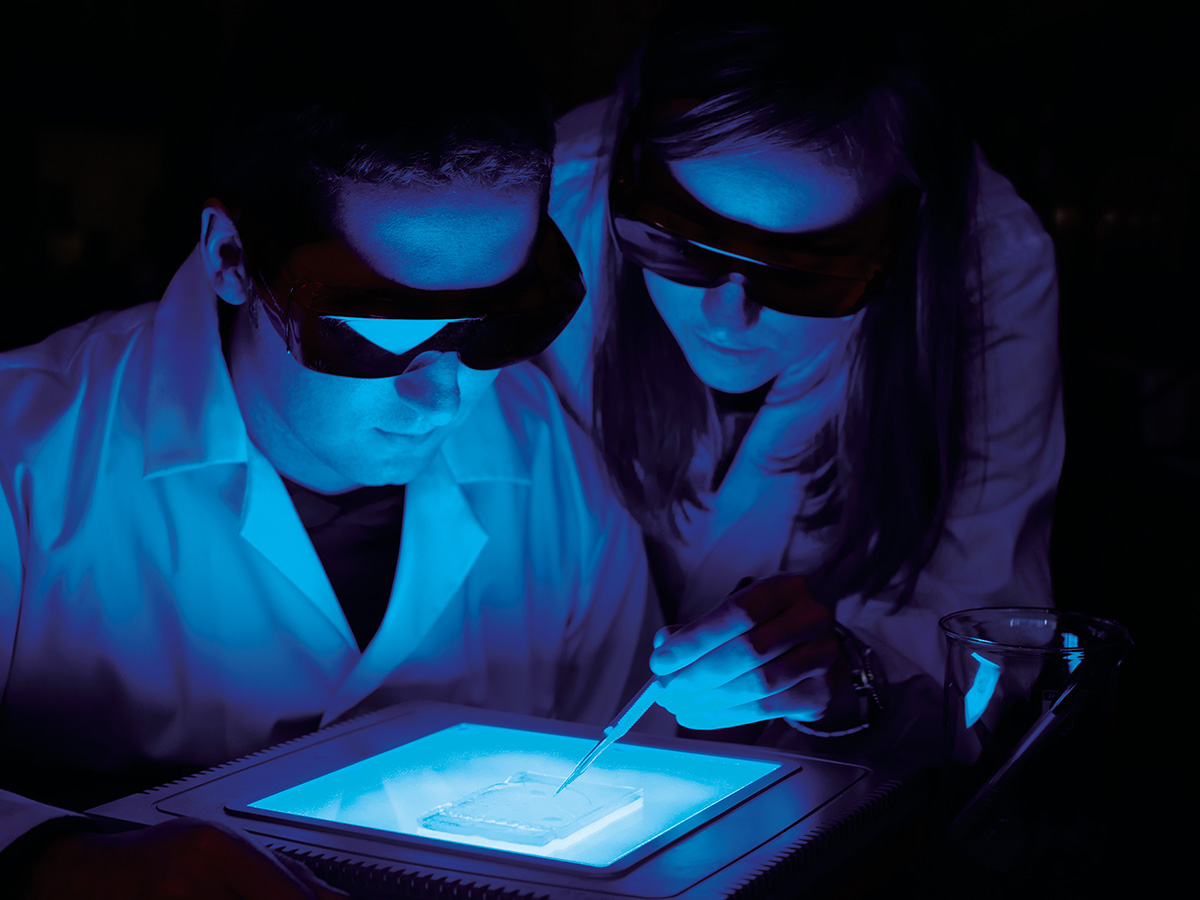 Showcase Image for Biomedical Engineering