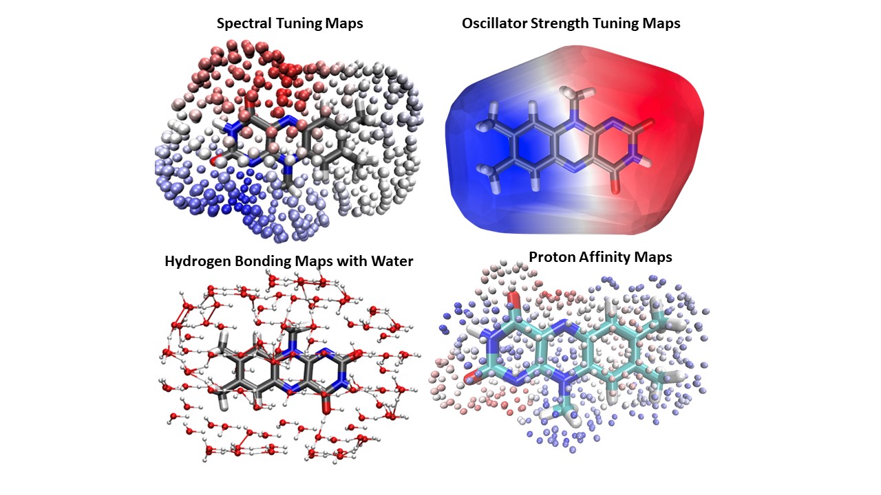Showcase Image for Visualization of the Environment’s Effect on Molecular Observables Through Electrostatic Tuning Maps