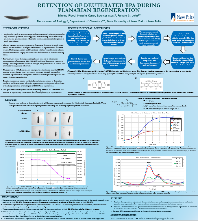 Showcase Image for Retention of Deuterated BPA During Planarian Regeneration