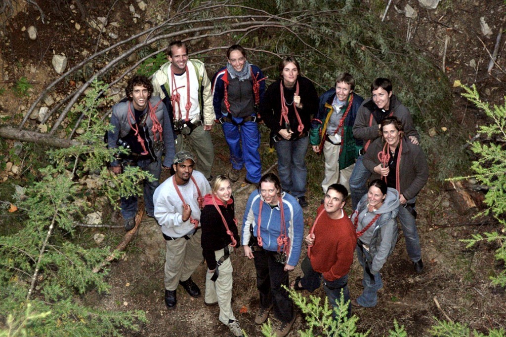 Showcase Image for Forestry