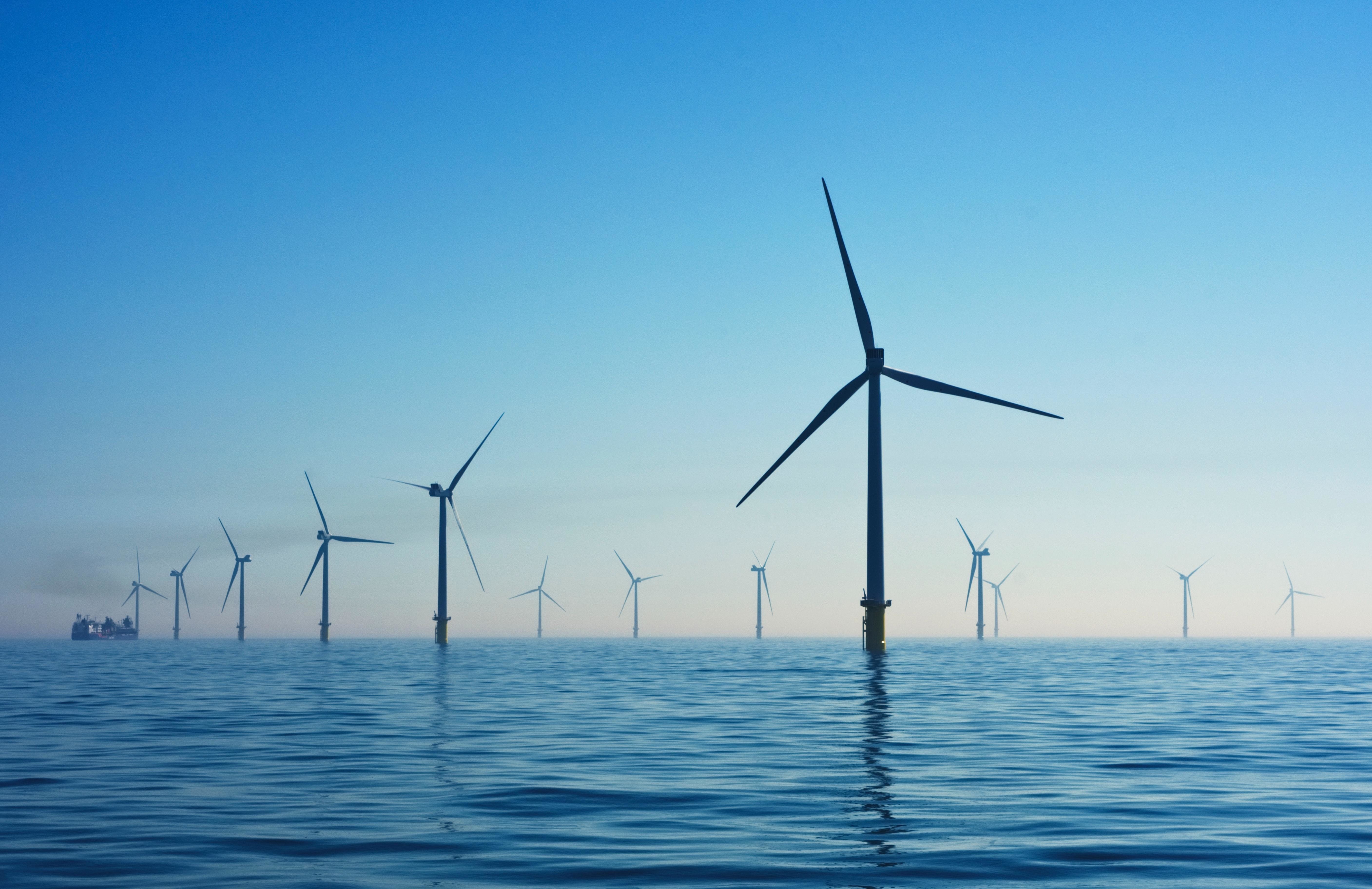Showcase Image for Offshore wind farm impacts and regulations: Should Nova Scotia learn from Europe?