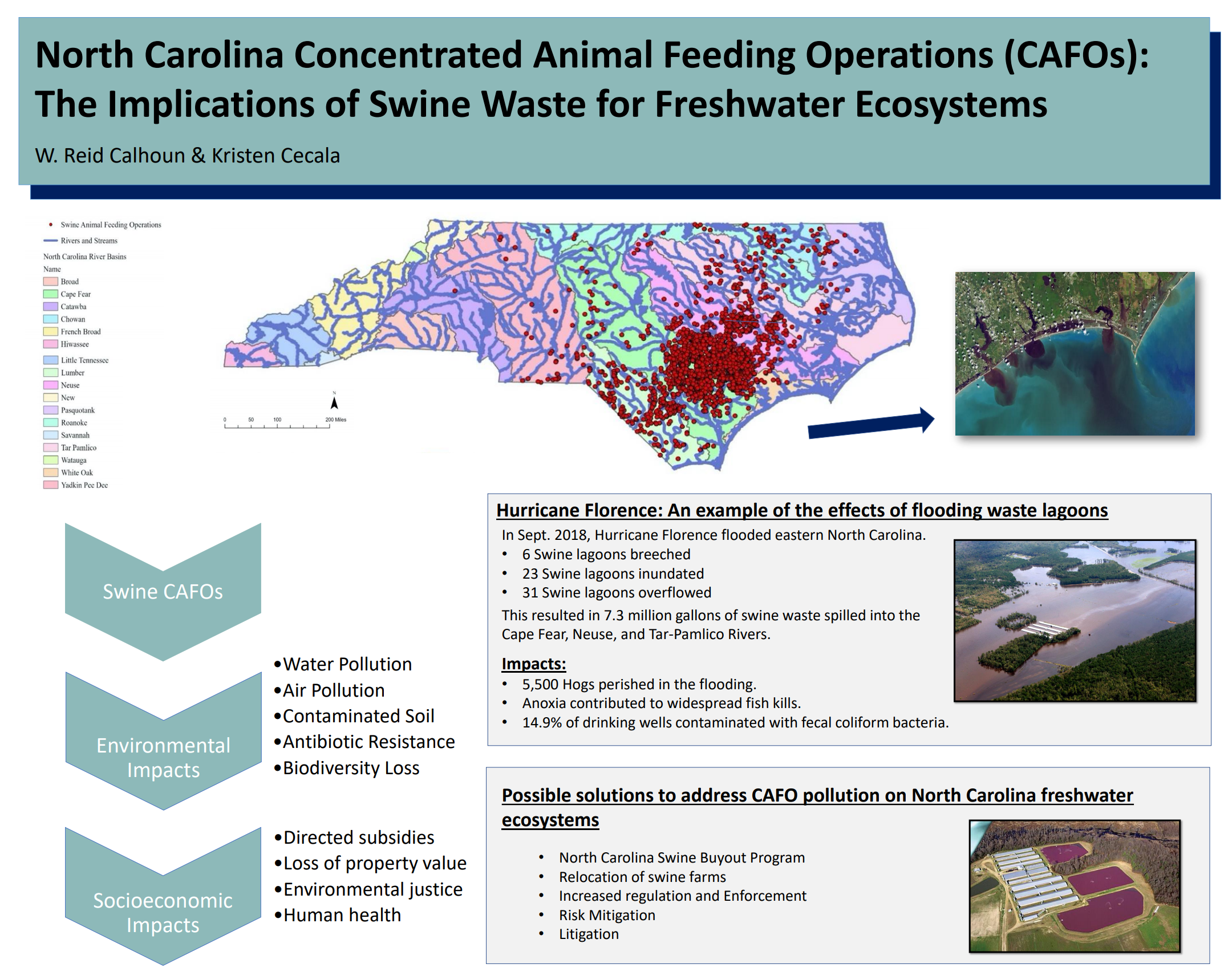 Showcase Image for North Carolina Concentrated Animal Feeding Operations (CAFOs): The Implications of Swine Waste for Freshwater Ecosystems