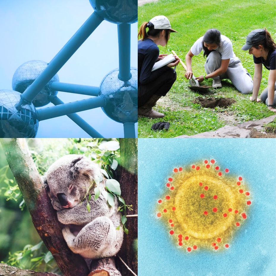 Showcase Image for Department of Anthropology