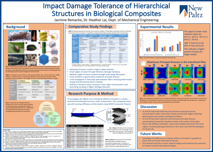 Showcase Image for Impact Damage Tolerance of Hierarchical Structures in Biological Composites