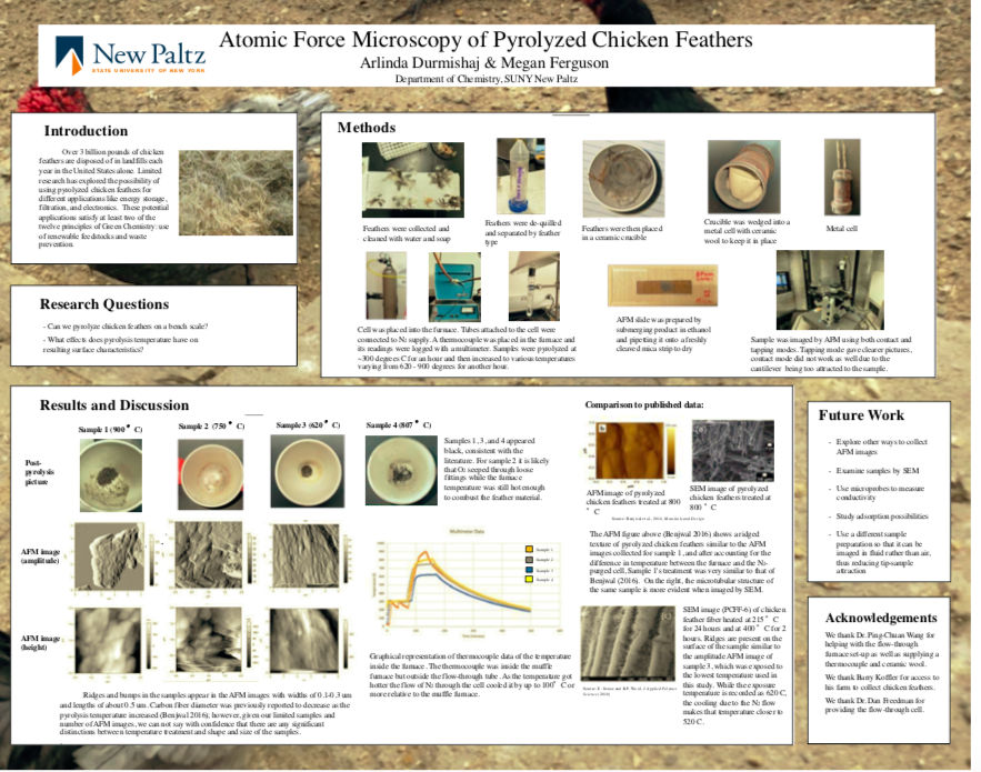 Showcase Image for Atomic force microscopy of pyrolyzed chicken feathers