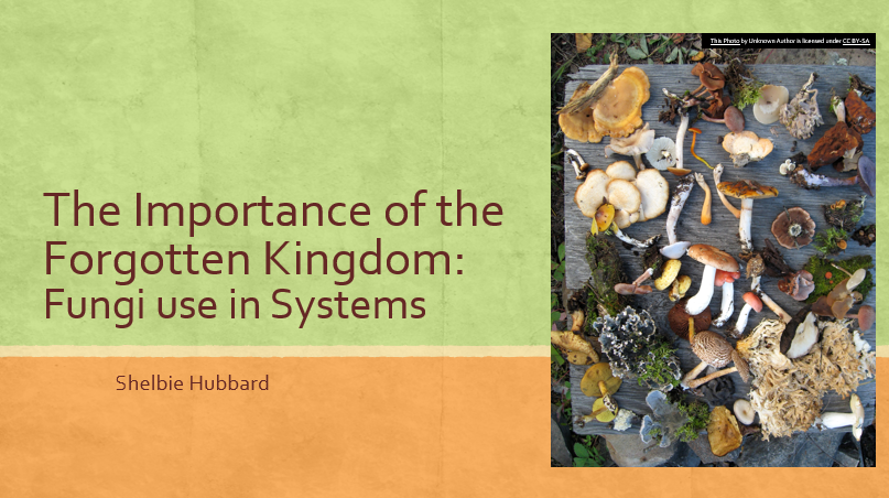 Showcase Image for The Importance of the Forgotten Kingdom: Fungi use in Systems