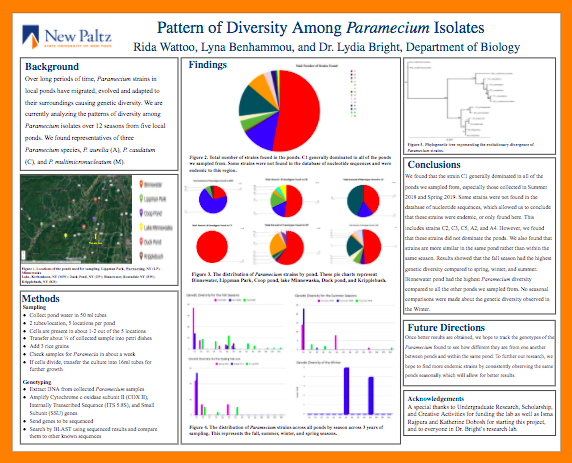 Showcase Image for Pattern of Diversity Among Paramecium Isolates