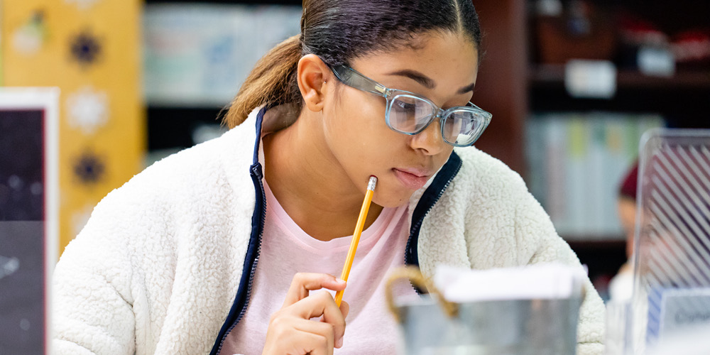 Showcase Image for Institute for the Study of University Pedagogy