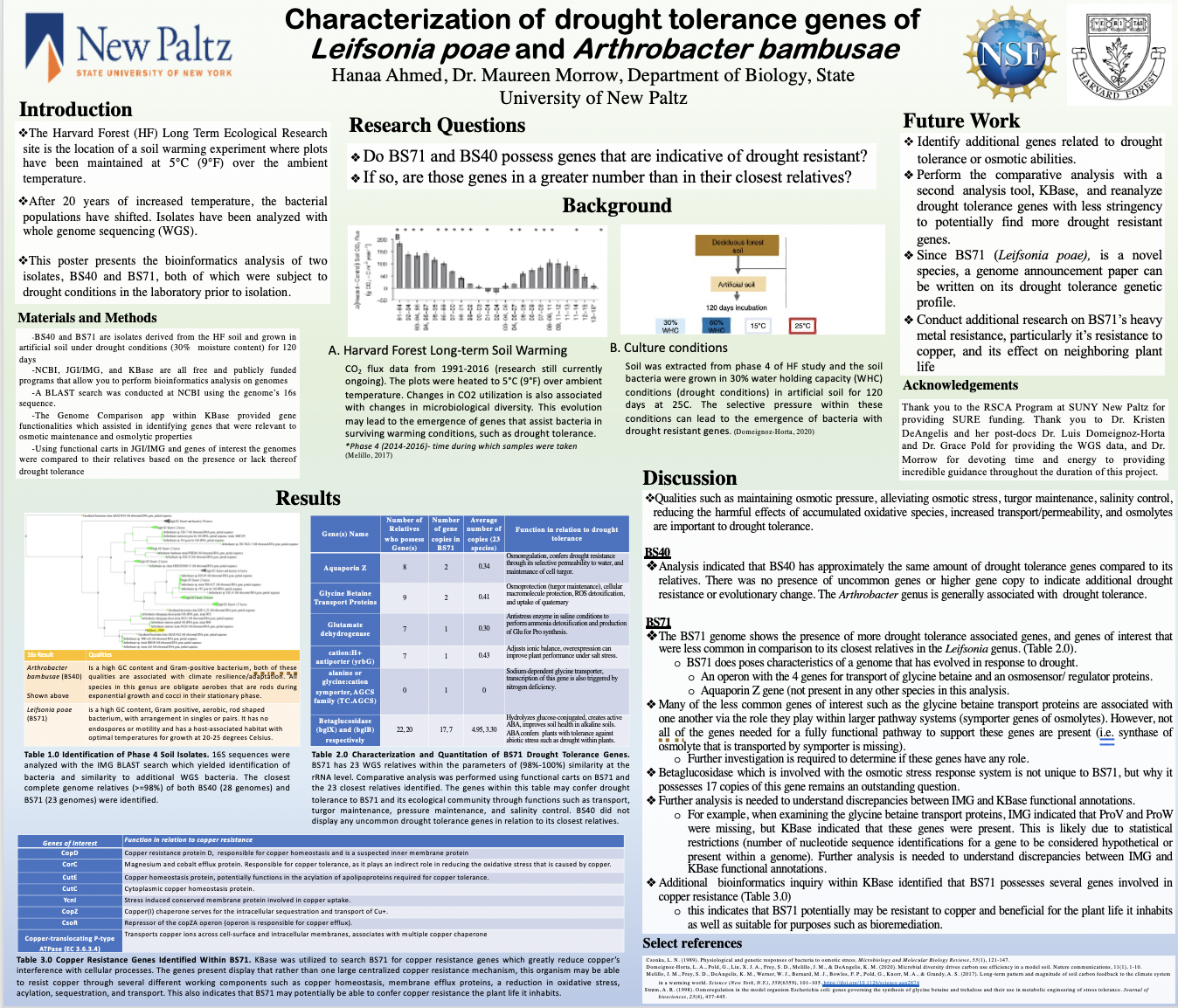 Showcase Image for Characterization of Drought Tolerance Genes of BS40 and BS71