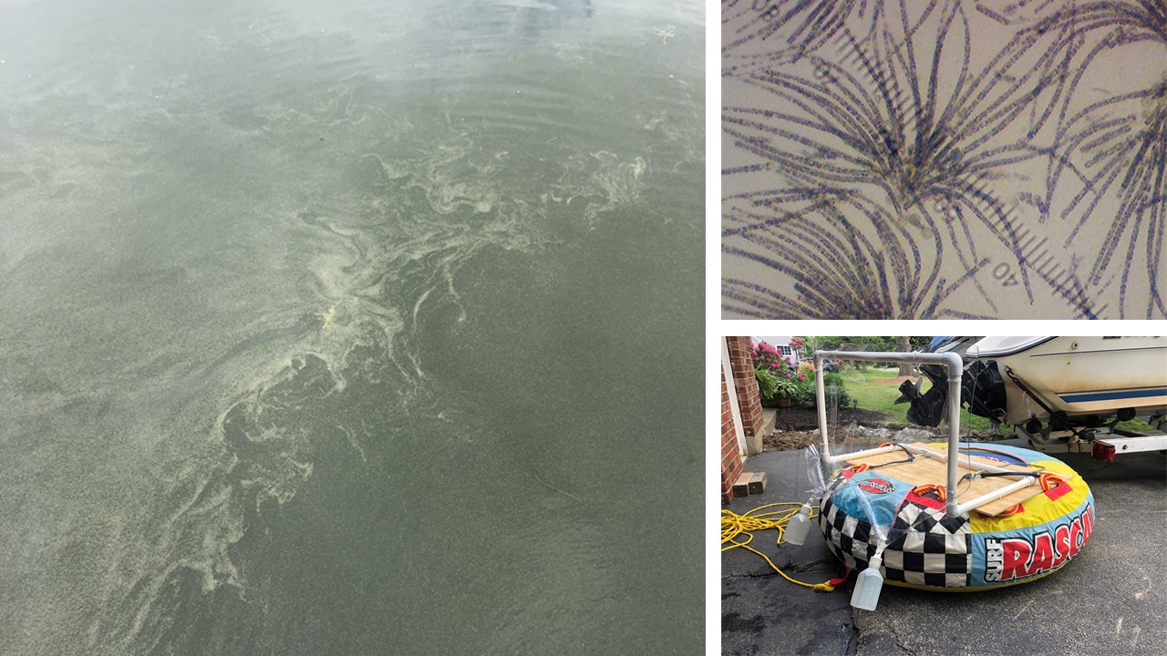 Showcase Image for Potential exposure to cyanotoxins while recreating, seasonally dynamic microcystin indicators 