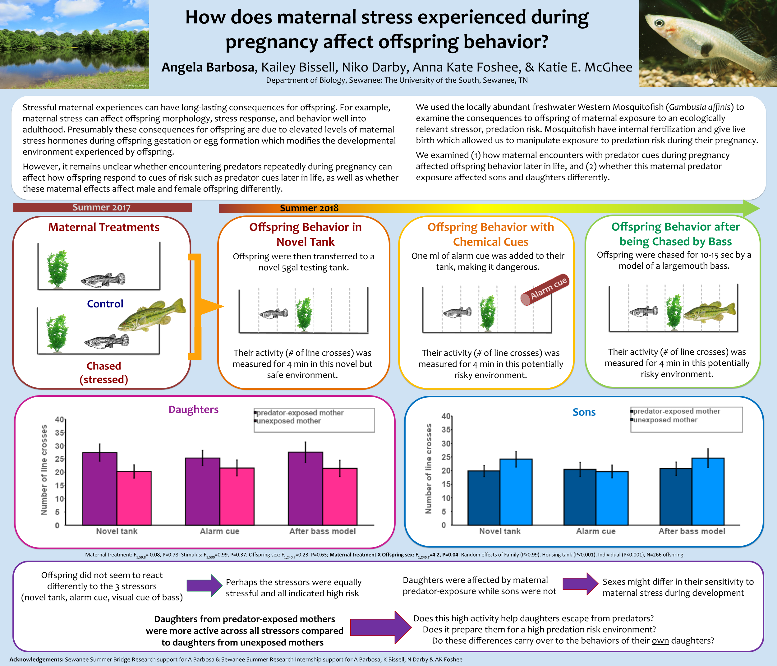 Showcase Image for How does the stress of encountering predators during pregnancy affect offspring behavior?