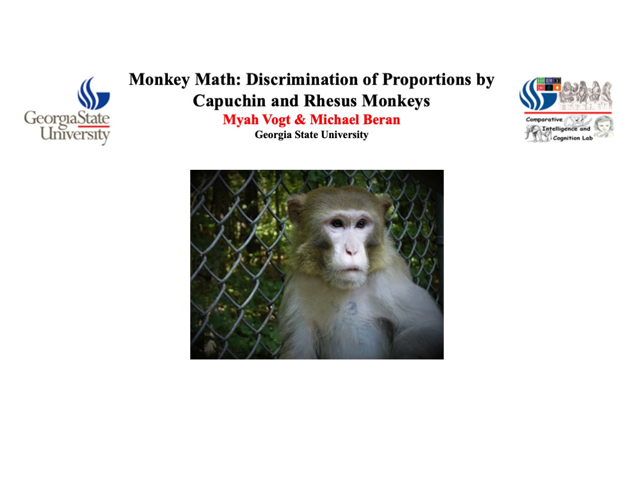 Showcase Image for Monkey Math: Discrimination of Proportions by Capuchin and Rhesus Monkeys