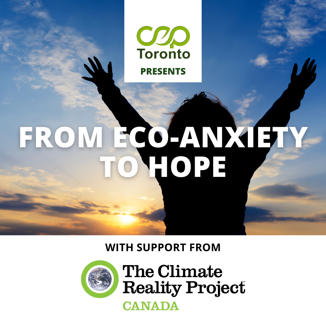 Showcase Image for From Eco-Anxiety to Hope: What Can Individual Action Accomplish?
