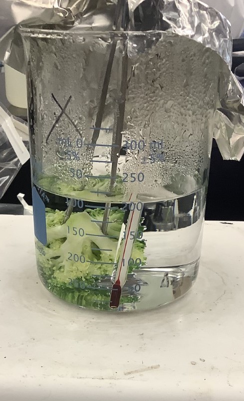 Showcase Image for Effectiveness of blanching temperature and timing on broccoli samples inoculated with Salmonella