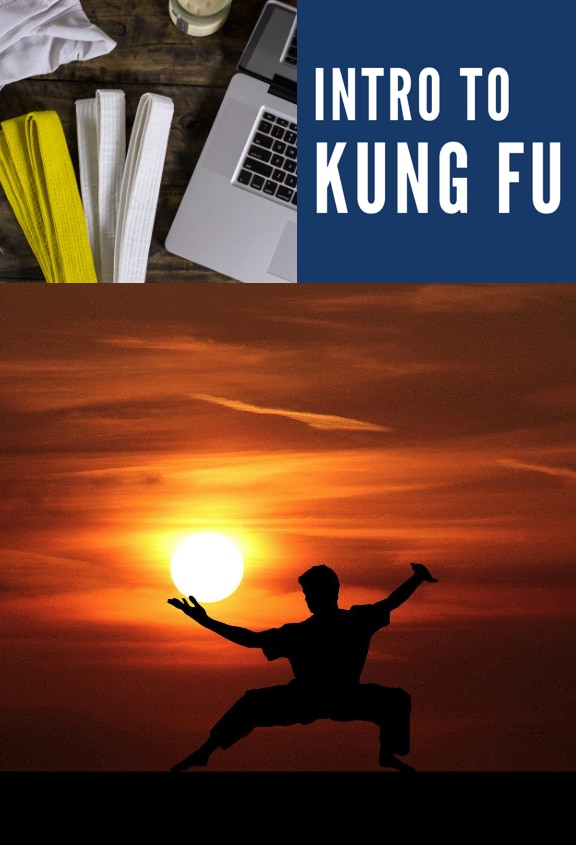 Showcase Image for LIVE: Intro to Kung Fu