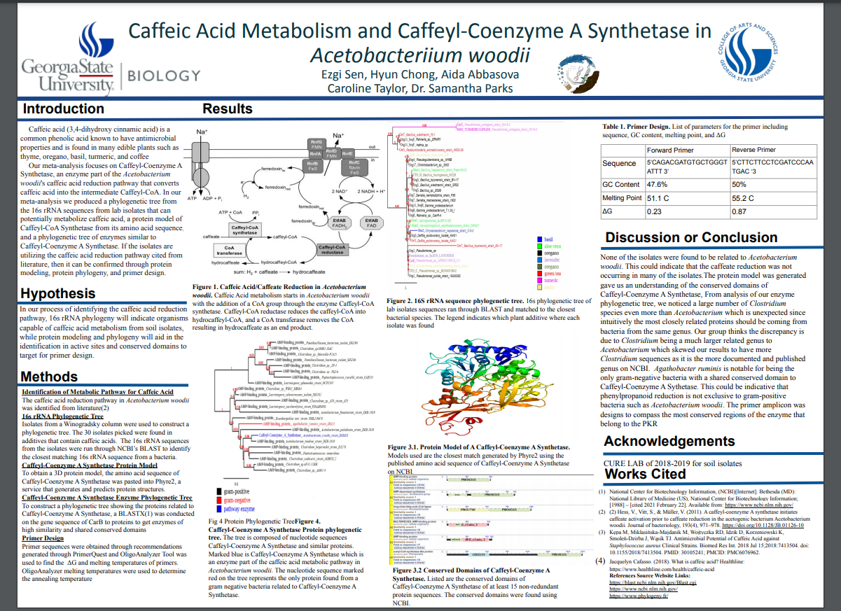 Showcase Image for Caffeic Acid Metabolism and Caffeyl-Coenzyme A Synthetase in Acetobacterium Woodii