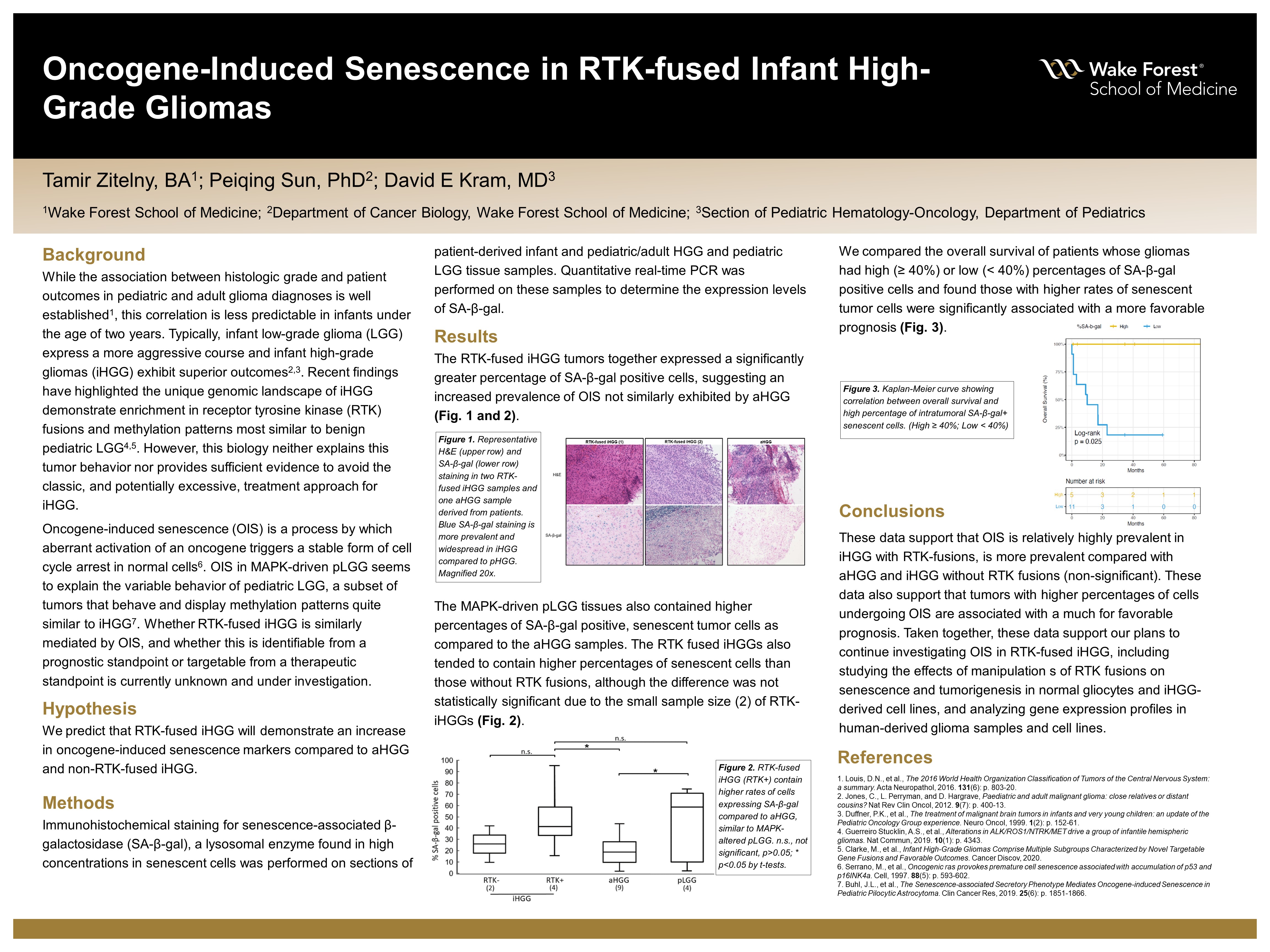 Showcase Image for Oncogene-Induced Senescence in RTK-fused Infant High Grade Gliomas