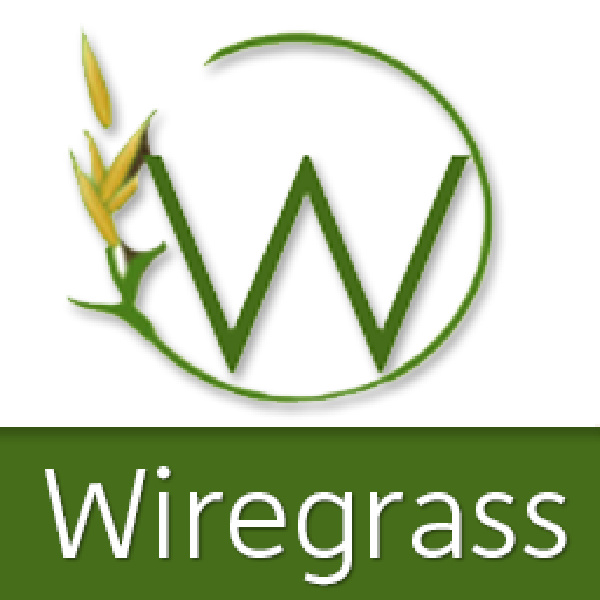 Showcase Image for Wiregrass Nurse Practitioner Association