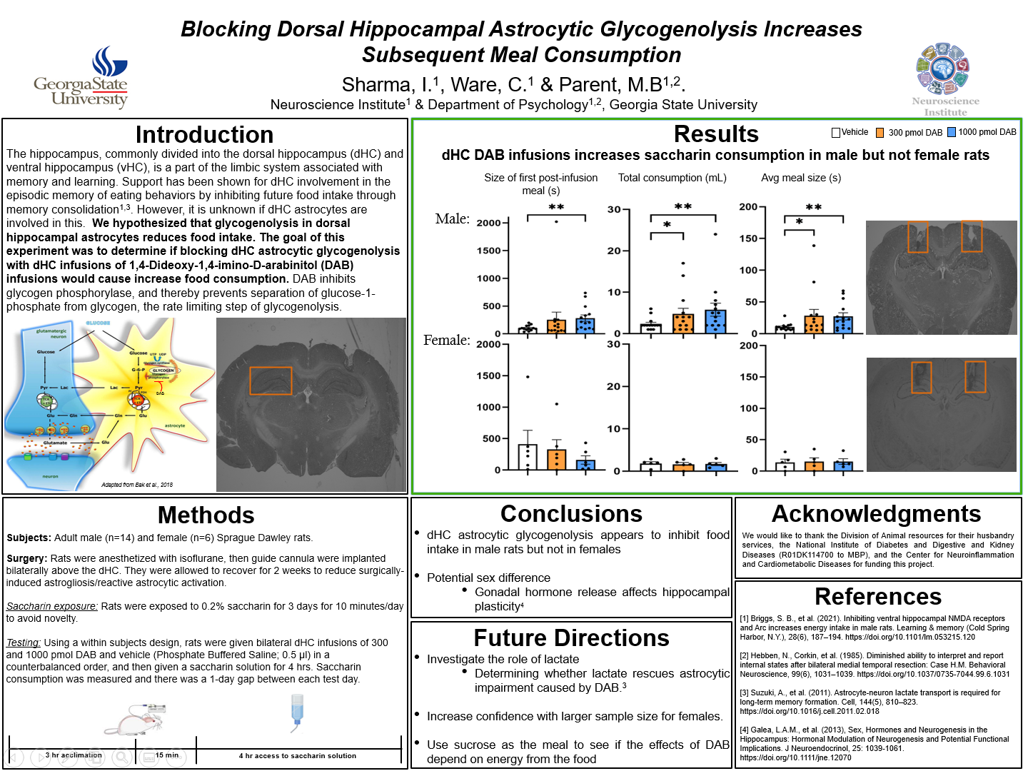 Showcase Image for Blocking Dorsal Hippocampal Astrocytic Glycogenolysis Increases Subsequent Meal Consumption