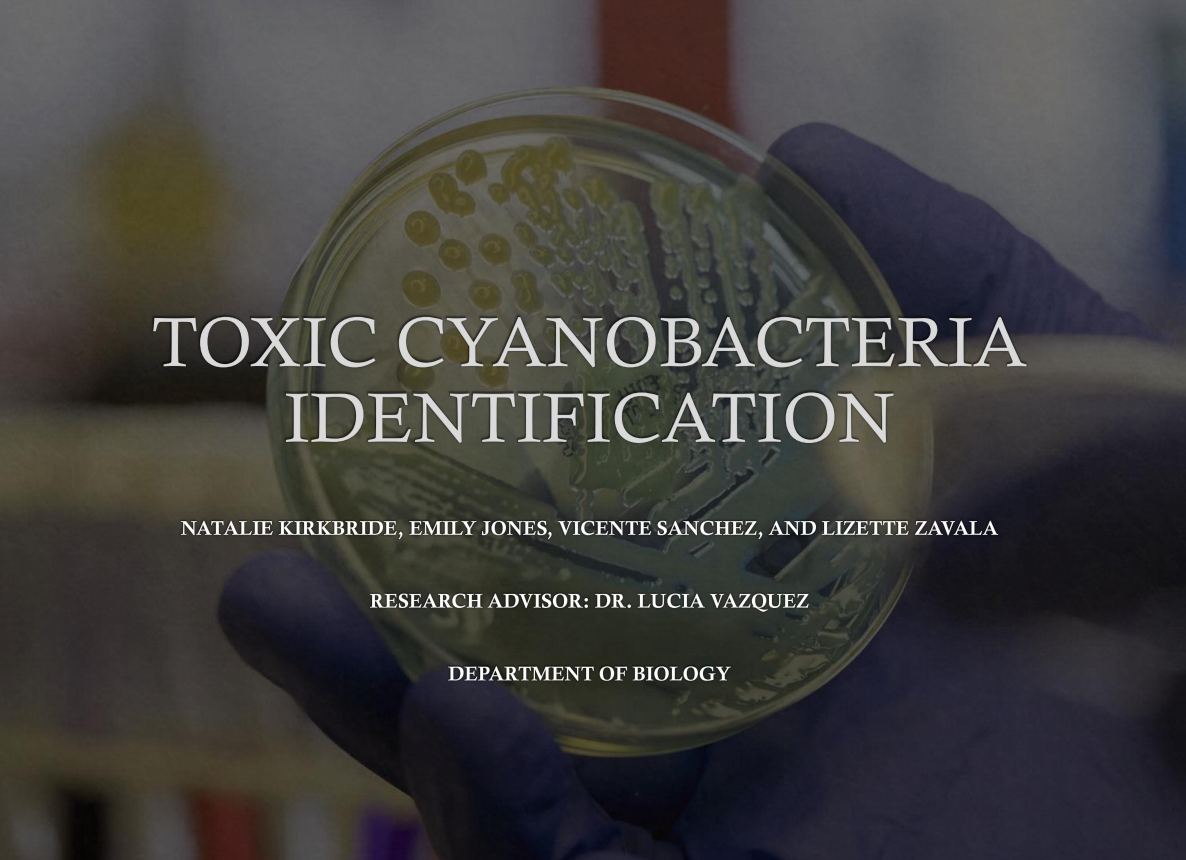Showcase Image for Development of DNA Barcodes for Identification of Toxic Cyanobacteria