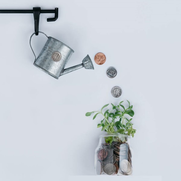 Showcase Image for Redirecting the Loop: The ESG Investing Versus Performance Paradox