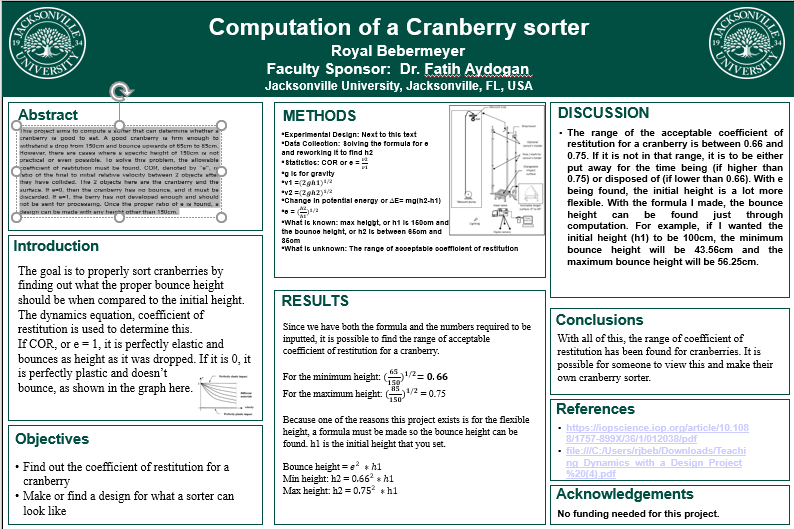 Showcase Image for Computation of a cranberry